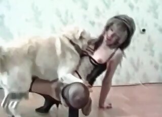 Une MILF maigre a hâte de se faire baiser par un chien à la maison