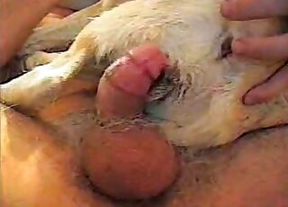 Kinky dude fucks a red doggie and cums inside of it