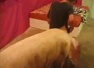 Hot animal getting freaky with a twisted zoophile on all fours