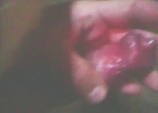 Red dog cock is being showcased in a zoophilic porn movie here