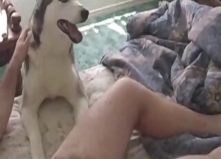 Un beau mec avec un cul poilu va baiser une chienne blanche très sexy