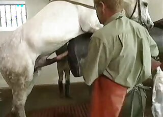 Farm porn scene focusing on a very sexy black mare that looks hot