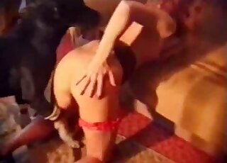 Awesome doggystyle dog movie with a chick that looks really hot