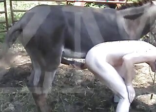 Pale dude bends over to take this pony's cock out in the open