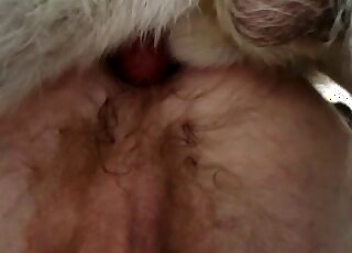 Un zoophile pâle avec un scrotum sexy se fait enculer
