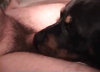 Sexy guy fingering this dog's hot vagina on the floor during foreplay