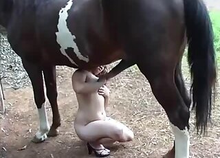 Film porno équin montrant une créature bien membrée qui baise des seins latins