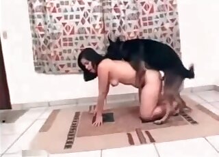 Une brune coquine accueille un berger allemand pour une séance de porno zoo XXX