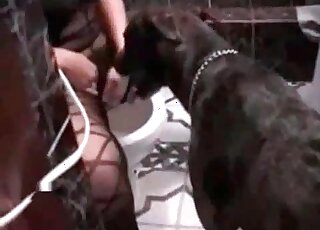 Slutty MILF gets her pussy licked by a doggie in a nasty XXX action