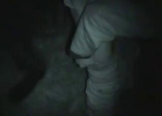 Une scène de sexe nocturne montrant un étalon bien membré séduisant un homme soumis