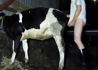 Cette bête sexy va se faire baiser par derrière avec une vraie passion