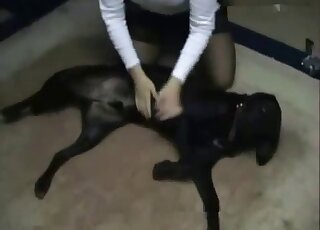 Black stockings office babe decides to ride this dog's hard dick