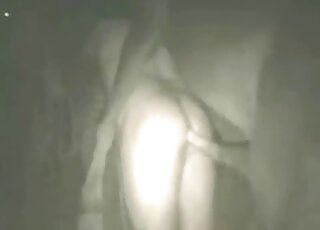 Huge horse cock is going to destroy this zoophile's tight asshole