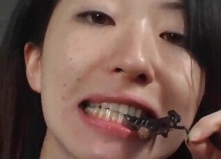 Crunchy cockroaches being happily devoured by a perverse Asian lady