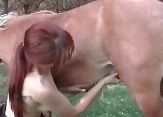 Une chienne zoophile excitée joue avec l'énorme pénis d'un cheval