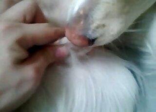 Ce mec sexy est en train de tripoter la chatte juteuse d'une bête juste ici