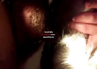 Guy n'arrête pas de faire jouir cet animal avec sa bite parfaite