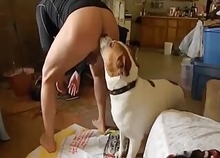 Le chien veut faire plaisir à son maître en léchant sa bite et son cul avant de le baiser