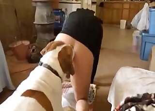 Dog wants to please his master by licking cock and ass before banging