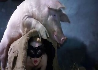 Huge pig dominates the pussy of a masked lady in black stockings