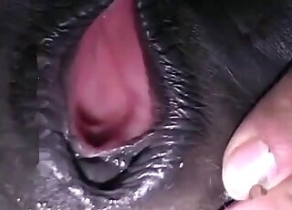 Zoophiliac adores rubbing horse pussy before passionate licking