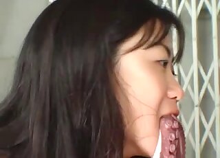 Kinky Japanese babes are using octopus for zoo threesome