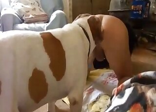 Dog combines ass licking and anal sex while alone with his master
