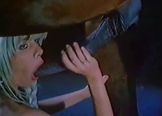 Horny blonde licks and suck giant horse dick in vintage porn