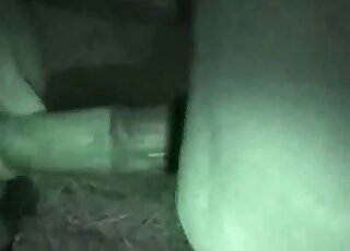Une femme en chaleur veut sentir un énorme pénis de cheval dans sa chatte mouillée