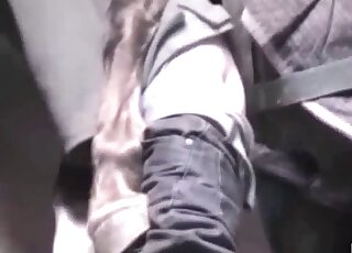 Amateur dude awaits deep anal shafting from a giant horse cock