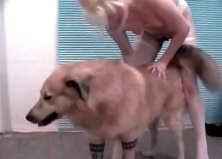 Big fluffy dog gets seduced by a blonde that craves for zoo porn