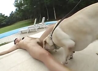 Asian chick with perky tits lets two Labradors lick her out by pool
