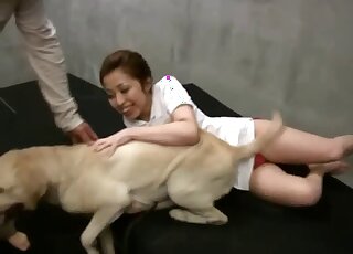 Asian redhead lets Labrador lick her out after petting him