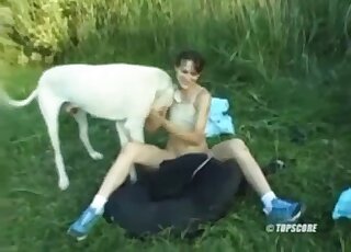 Une brune mince fait un plan à trois en plein air avec deux chiennes en chaleur