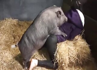 Chubby pig is impatient to bang the brunette doll in a barn
