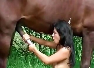 Un cheval remplit le vagin serré d'une chienne zoophile de jets de sperme frais