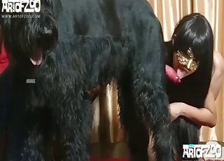 Un Airedale Terrier se laisse offrir une fellation passionnée par une jeune femme masquée
