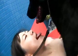 Un gros labrador noir offre du plaisir sexuel à une petite fille asiatique