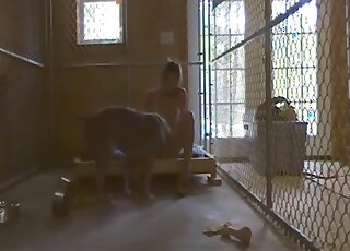 Brunette makes amateur zoo sex video with Pit Bull in a cage