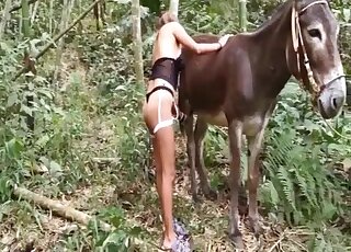Donkey gets his long cock stroked and licked by masked vixen