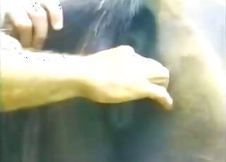 Porno zoo vintage - Un homme joue avec la chatte juteuse d'une jument