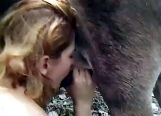 Zoophile slut passionately sucks horse's shaft outdoors