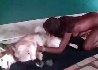 Ebony performs cock-sucking to a dog during zoo porn session