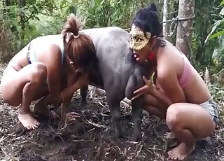 Chubby pig gets cock sucking and rimming from randy MILFs outdoors