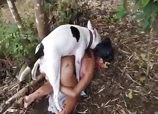 Bull Terrier wants to bang amateur MILF doggy style outdoors