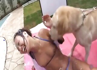 Cette bombe latine va se faire lécher tout le corps par des chiens en chaleur