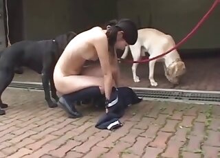 Collared Asian fuckslave is leashed and ready for breeding with a dog