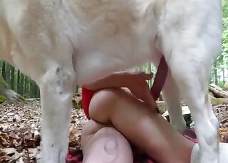 Une cosplayeuse séduisante du Petit Chaperon rouge fait l'amour avec une chienne sexy en plein air