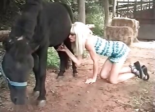 Blond zoophile loves sucking massive pecker of a black horse outdoors