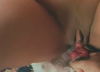 Shaved cunt of an aroused zoophile bitch get fucked by a dog